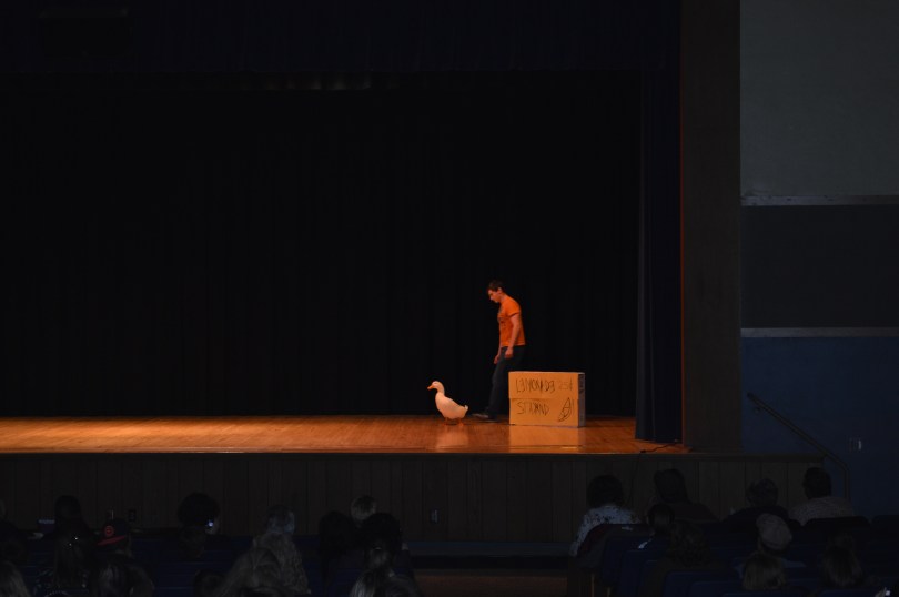 Talent Show 2017