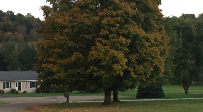 Jumping into the Fall Season