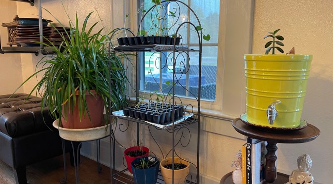 Spring into Garden Planning